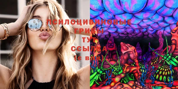 спиды Белокуриха