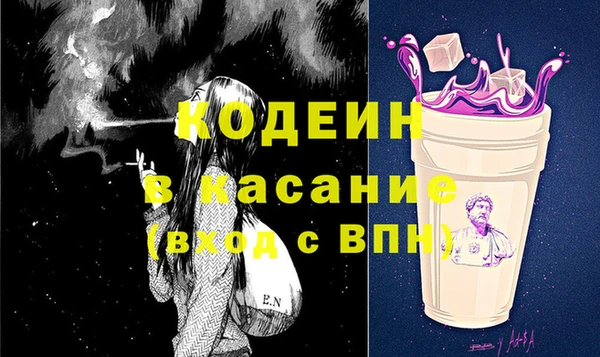 сатива Сясьстрой