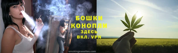 сатива Сясьстрой