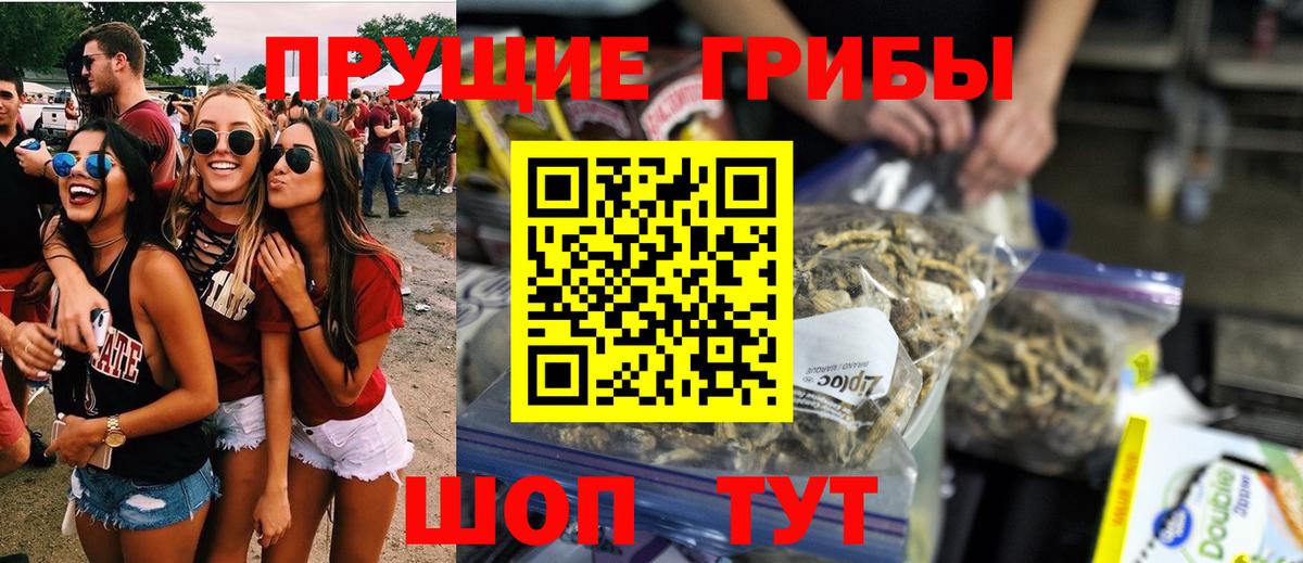 Дальнегорск  Галлюциногенные грибы прущие грибы  Вход с VPN  Псилоцибиновые грибы ЛСД 